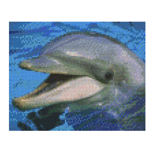 Delfín 34016